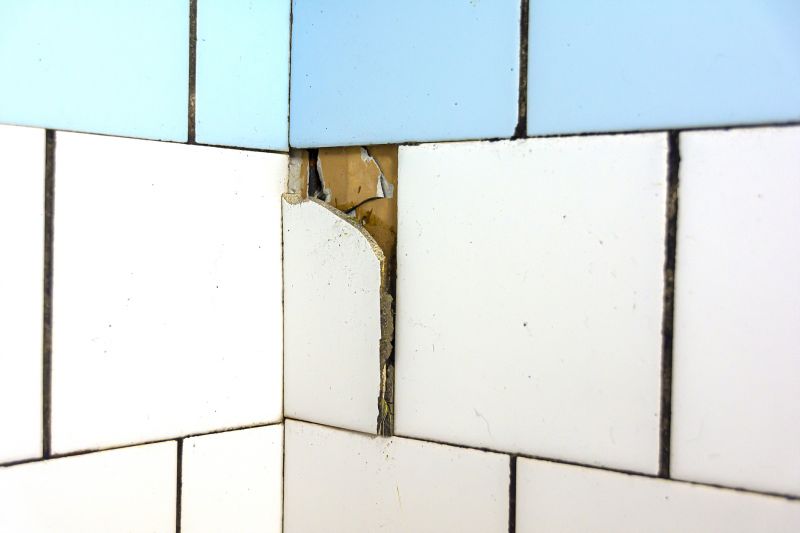 Signs You Need Professional Tile Repair